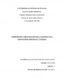 Trabajo de Bioquímica básica con laboratorio