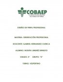 Perfil profesional DISEÑO DE PERFIL PROFESIONAL