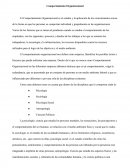 La Conducta Organizacional