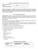 Proyectos Emprendedores