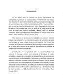 El proyecto listo para imprimir(desechos solidos domesticos)