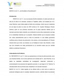BIKOR S.A de C.V. ¿Es Rentable la Diversificación?