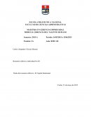 El neuvo Resumen del Capital Intelectual