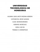 Tarea acerca de Que es el Monopolio