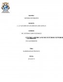 ELABORACIÓN DE PROYECTO La empresa plesa Anáhuac y cias, S.A. de C.V.