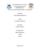 Actividad agricola. Cómo nació la agricultura en el mundo