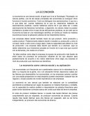 La economía es una ciencia social