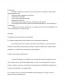 Organizaciones positivas