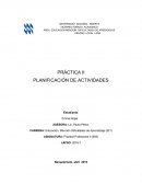 LA GRAN PRACTICA PROFESIONAL