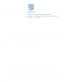 Proyecto de negocio.WIL URBAN STORE (W.U.S)