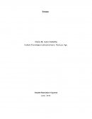 Las Claves del nuevo marketing