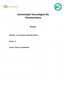 Tortugas marinas y nuestro tiempo