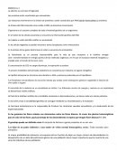 Las proteínas están constituidas por aminoácidos