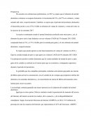 Perspectivas animales