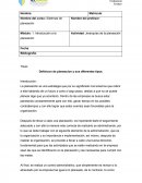 Tarea 1 Sistemas de planeación