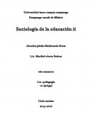 CUESTIONARIOS sociologia