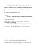 ÓRGANOS REPRODUCTORES MASCULINOS