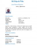 Hoja de vida. Ejemplo
