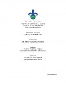 APLICACIÓN HERRAMIENTAS ESTADISTICAS