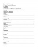 La Adolescencia y la Drogadicción