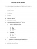 El Poryecto impacto ambiental