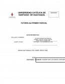 TUTORÍA del PRIMER PARCIAL