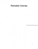 Un Ensayo de Reinaldo Arenas