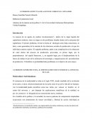 EL PROBLEMA ESTRUCTUAL DEL AGENTE DE CAMBIO EN EL CAPITALISMO.