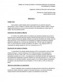 Importación del calzado en México.