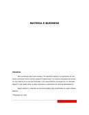 MATERIA E-BUSINESS