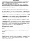 Como se da el Aparato Digestivo