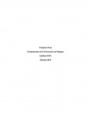 Proyecto Fundamentos de la Prevención de Riesgos
