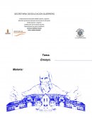 Ensayo Observacion y practica doscente