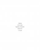 Diagnóstico y clima laboral