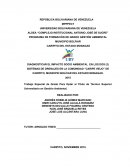 DIAGNOSTICAR EL IMPACTO SOCIO AMBIENTAL EN LOS DOS (2) SISTEMAS DE DRENAJES EN LA COMUNIDAD “CARIPE VIEJO” DE CARIPITO, MUNICIPIO BOLÍVAR DEL ESTADO MONAGAS.