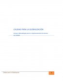 Ensayo: Metodología para la Implementación de sistema de Calidad