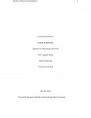 ¿Cual es el rumor sobre las redes eléctricas inteligentes?