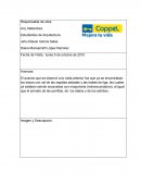 Se observa que ya se encuentran las cepas de las que serán zapatas aisladas y las trabes de liga, excavadas con retroexcavadora.