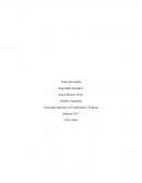 El Control de la tecnologia de la informacion