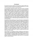 El embarazo.