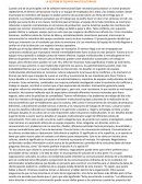 LA GESTIÓN DE EQUIPOS MULTICULTURALES