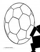 EL PROCESO PARA ORGANIZAR A LA EMPRESA