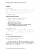 CAPITULO II. DESARROLLO EL PROYECTO