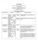 Plan de trabajo animales marinos