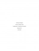 LIDERAZGO Y TRABAJO EN EQUIPO.