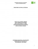 PREINFORME- BATERIA DE PÉRDIDAS