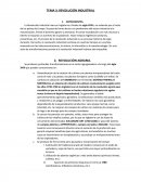 Tema 3 Ciencias sociales, Geografía e Historia 4ºESO