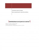 DIMENSIONAMIENTO DE UN EQUIPO DE VENTAS