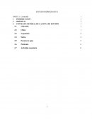 ESTUDIO HIDROGRAFICO PUCARA