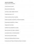 Orígenes Históricos de las Maras